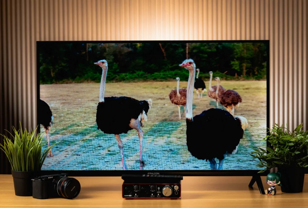 A black smart TV displaying an image of ostriches in a field, positioned on a wooden surface with a camera and plants on either side. The 'iFFALCON' logo is visible on the bottom center bezel.