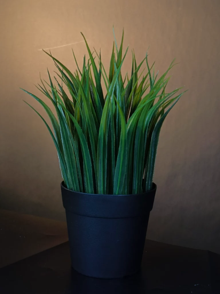 A potted faux grass plant with a dark background.