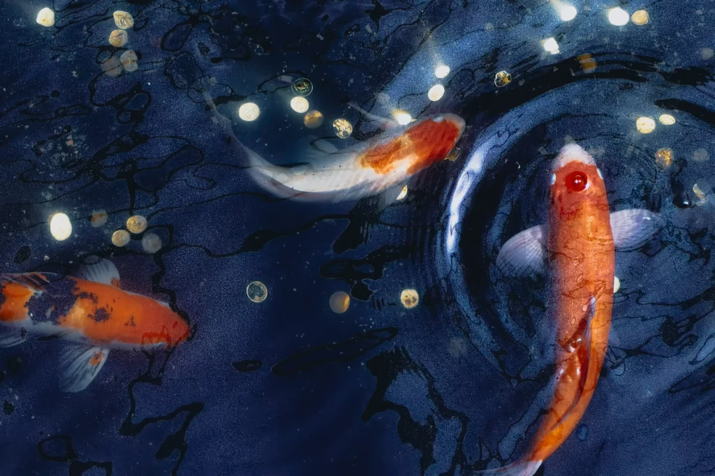 A high-angle shot of two Koi fish swimming in dark water, captured with a long exposure that gives the fish and water a luminous, ethereal, painterly effect. (Photo by Philip Am Guay on HUAWEI P40 Pro+)