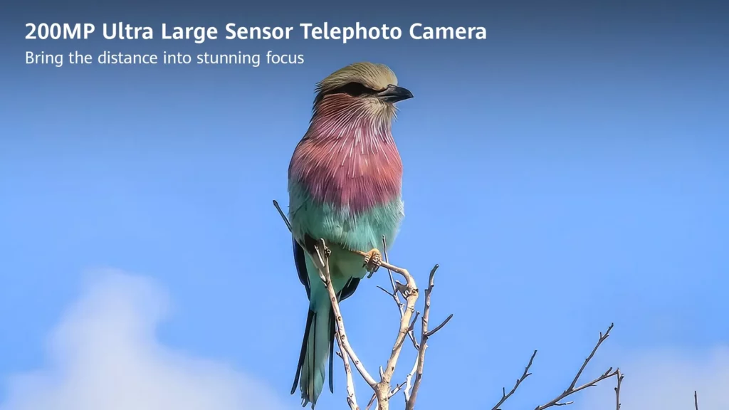A close-up, high-detail photo of a colorful lilac-breasted roller bird perched on a tree branch against a clear blue sky. Text overlay reads: "200MP Ultra Large Sensor Telephoto Camera. Bring the distance into stunning focus."