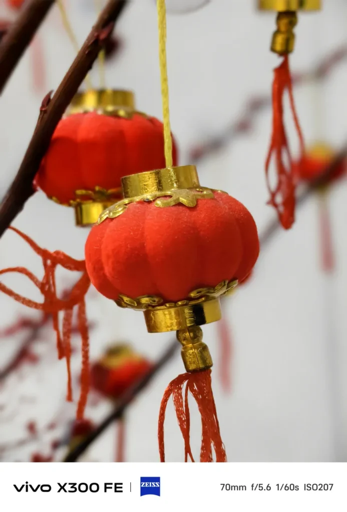Close-up photo of small red mini Chinese lanterns with gold trim hanging on branches, captured on the vivo X300 FE with ZEISS camera watermarks.